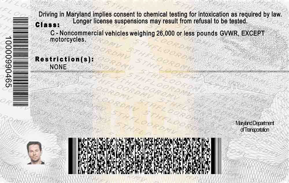 Maryland Fake ID - Image 2
