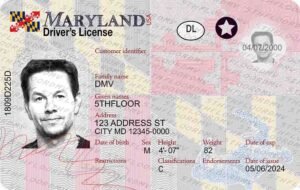 Maryland Fake ID