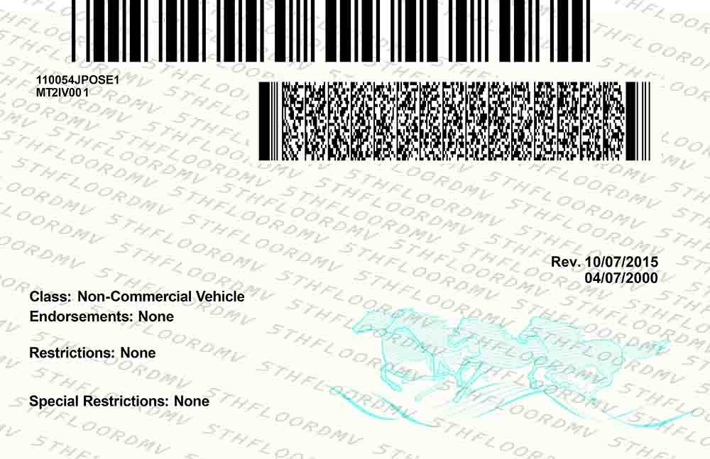 Montana Fake ID - Image 2