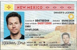 New Mexico Fake ID