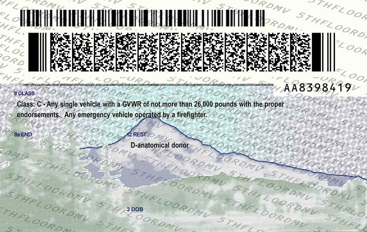 Oregon Fake ID - Image 2