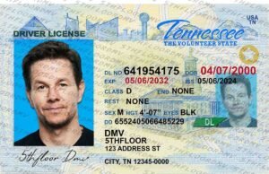 Tennessee Fake ID
